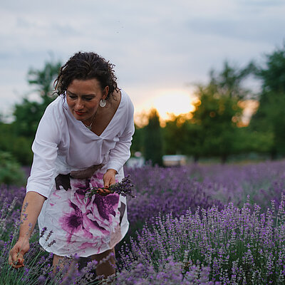 Christine beim Pflücken von Lavendel in ihrem Lavendelfeld