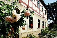 Foto zeigt ein Fachwerkgebäude in Mittelsachsen: Dabei handelt es sich um eine Außenansicht des Wohnhauses mit Fachwerkfassade. Das Gebäude gehört zum LindenhofAuterwitz in der Gemeinde Zschaitz-Ottewig. Im Vordergrund wächst ein blühender Rosenstrauch.