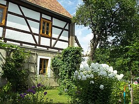 Farchwerkhaus: Foto zeigt Blick auf ein Wohnhaus mit Fachwerk und einen Garten mit weißblühenden Blumen 